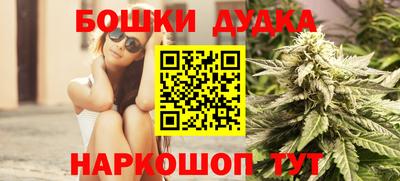 стафф Шелехов