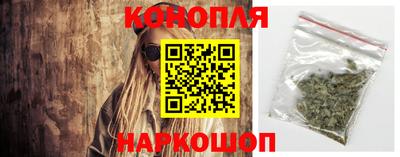 стафф Шелехов