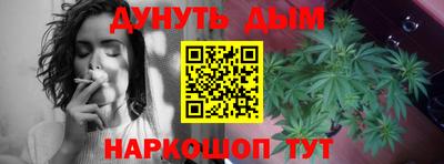 стафф Шелехов