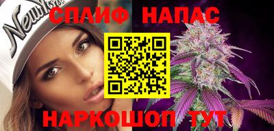 стафф Шелехов