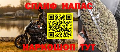 стафф Шелехов