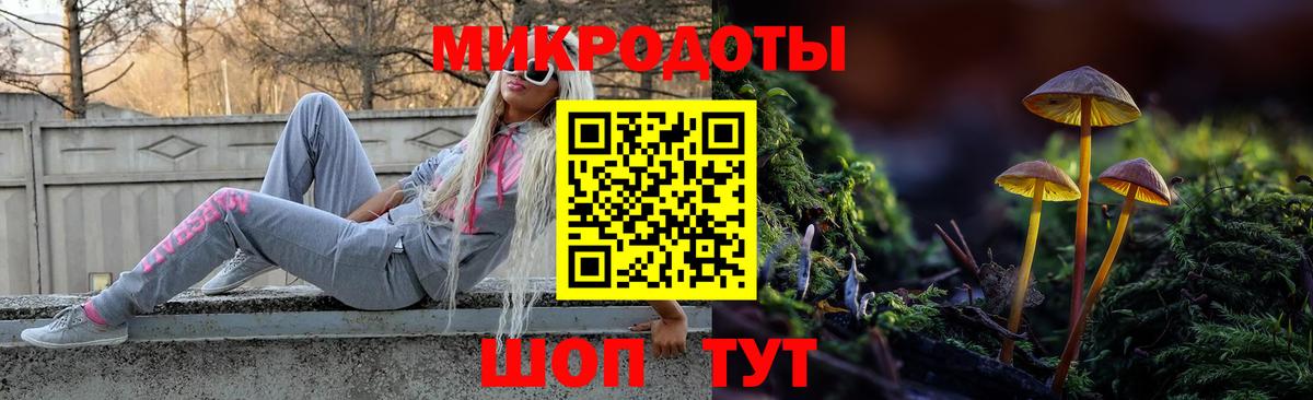Галлюциногенные грибы Cubensis  где найти   Москва  Вход с VPN 